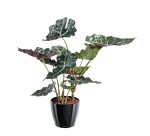 Plante artificielle d'intérieur Alocasia 65 cm