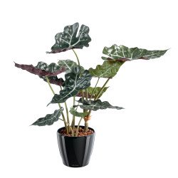Plante artificielle d'intérieur Alocasia 65 cm