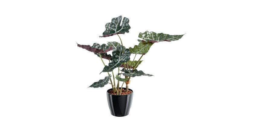 Plante artificielle d'intérieur Alocasia 65 cm