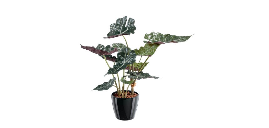 Plante artificielle d'intérieur Alocasia 65 cm