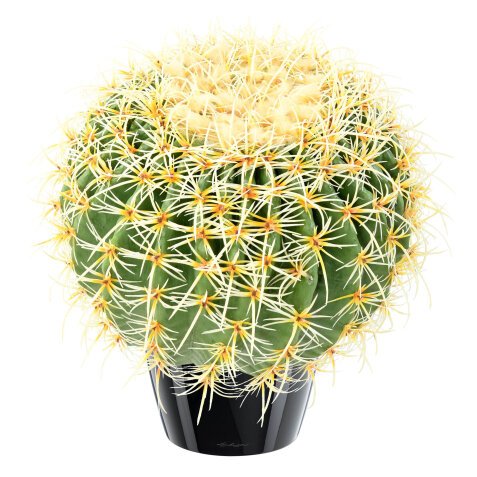 Künstliche Zimmerpflanze kugelförmiger Kaktus Durchmesser 37 cm 