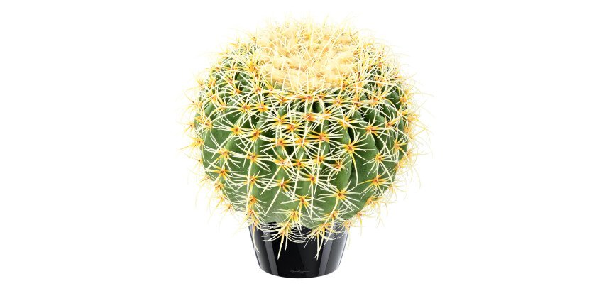 Cactus boule diamètre 37 cm artificiel d'intérieur