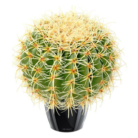 Künstliche Zimmerpflanze kugelförmiger Kaktus Durchmesser 30 cm 