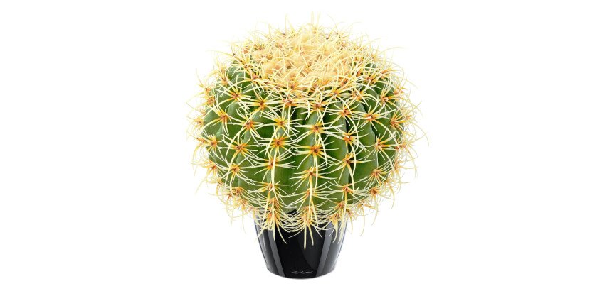 Cactus boule diamètre 30 cm artificiel d'intérieur