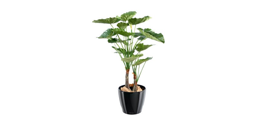 Plante artificielle d'intérieur Alocasia Calidora 120 cm
