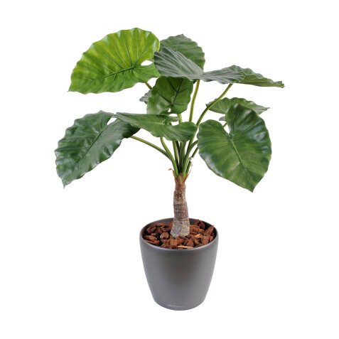 Künstliche Zimmerpflanze Alocasia Calidora 80 cm