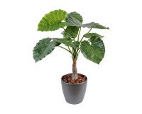 Artificial plant for inside Alocasia Calidora 80 cm