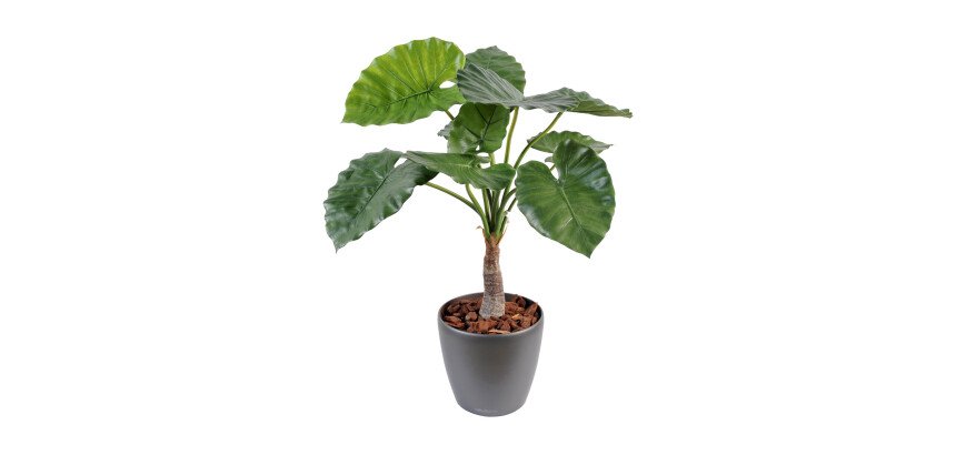 Plante artificielle d'intérieur Alocasia Calidora 80 cm