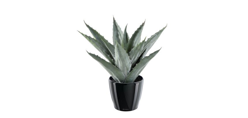 Plante artificielle d'intérieur Agave 43 cm