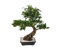 Artificial plant for inside bonsai Ficus 78 cm 