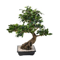 Plante artificielle d'intérieur Bonsaï Ficus 78 cm