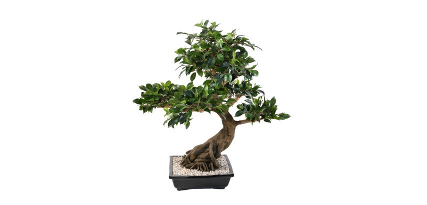 Plante artificielle d'intérieur Bonsaï Ficus 78 cm