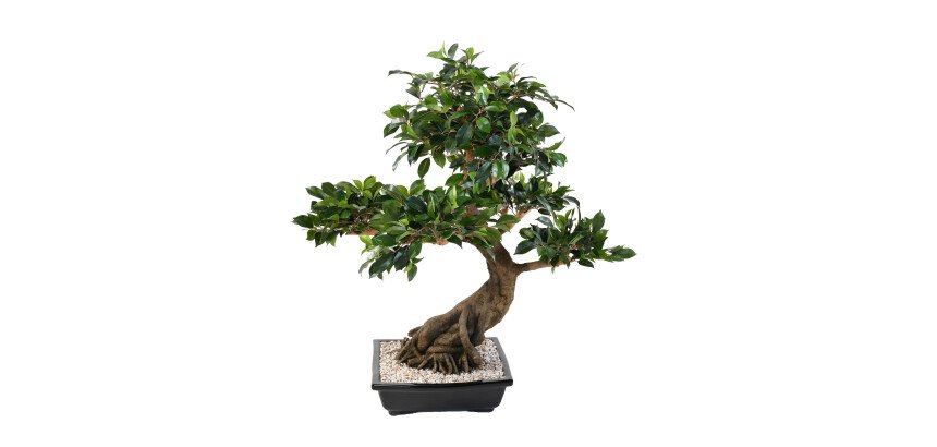 Plante artificielle d'intérieur Bonsaï Ficus 78 cm