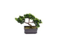 Künstliche Zimmerpflanze Bonsai mini Kiefer 22 cm