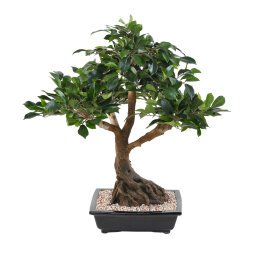 Kunstplant voor binnen bonsai Ficus 58 cm