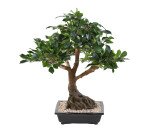 Plante artificielle d'intérieur Bonsaï Ficus 58 cm