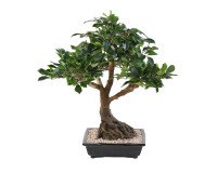 Künstliche Zimmerpflanze Bonsai Ficus 58 cm 