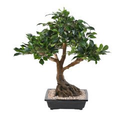 Plante artificielle d'intérieur Bonsaï Ficus 58 cm