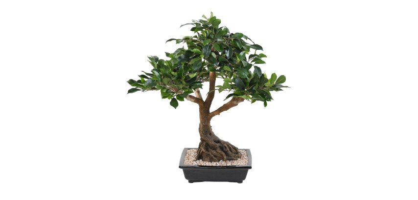 Plante artificielle d'intérieur Bonsaï Ficus 58 cm
