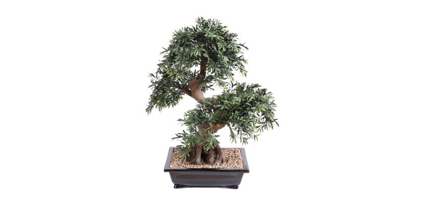 Plante artificielle d'intérieur Bonsaï black willow 70 cm