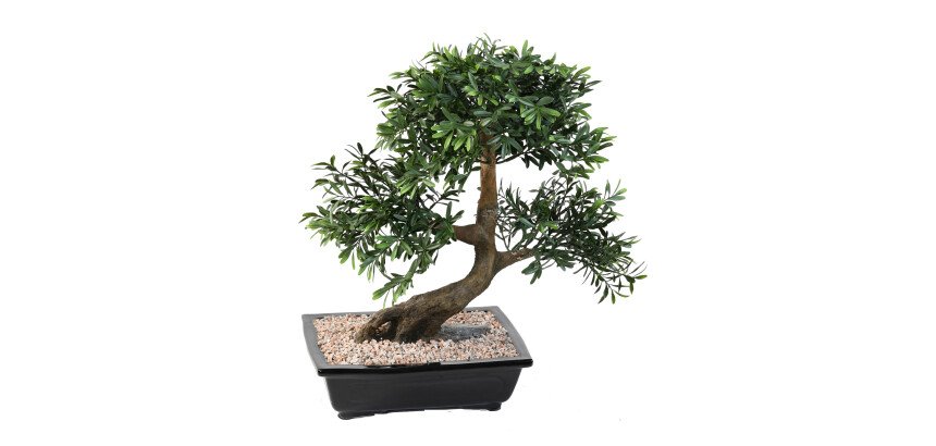 Plante artificielle d'intérieur Bonsaï black willow 50 cm