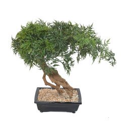 Kunstplant voor binnen bonsai Aralia 60 cm