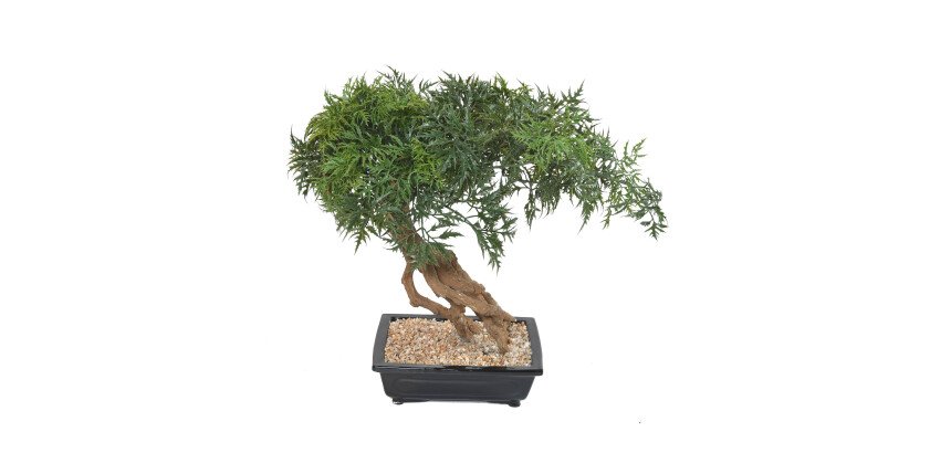 Plante artificielle d'intérieur Bonsaï Aralia 60 cm