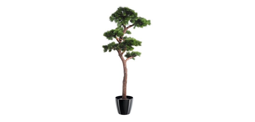 Artificial bush for inside bonsai pine-tree 220 cm 