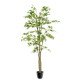 Aralia vert artificiel