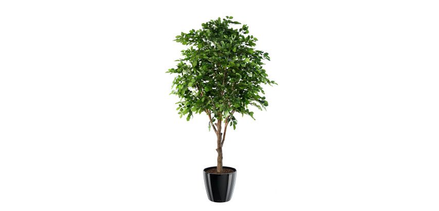Artificial tree beech 280 cm