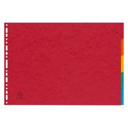 Intercalaire A3 carte lustrée colorée Exacompta 5 onglets neutres multicolores - 1 jeu