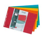 Intercalaire A3 carte lustrée colorée Exacompta 5 onglets neutres multicolores - 1 jeu