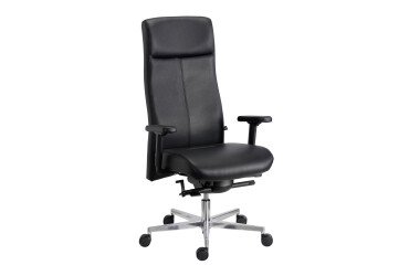 Sillon de oficina Tera Sitness