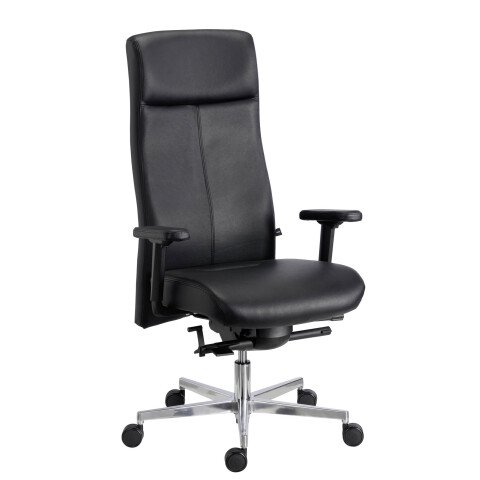 Sillon de oficina Tera Sitness