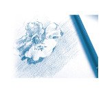 Pochette 12 feuilles papier dessin blanc A4+ Clairefontaine à grain 224 g