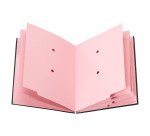 Parapheur direction Bruneau - 24 divisions noir