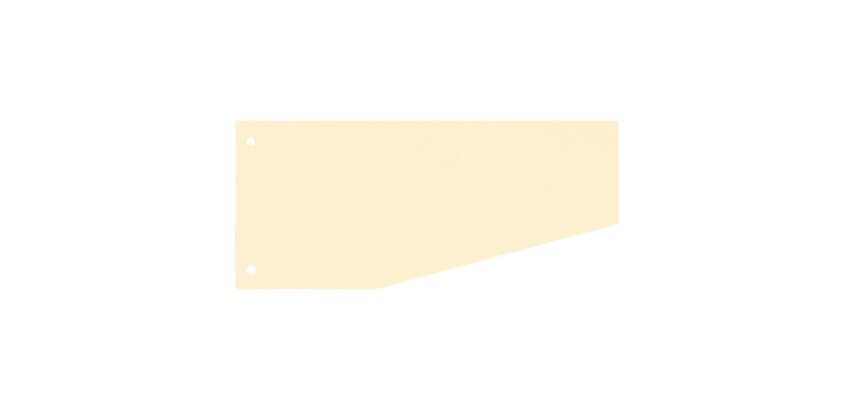 Intercalaires trapèze unis perforés Bruneau carte recyclée - 105 x 240 mm - Paquet de 100