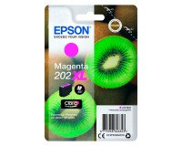 Epson 202XL cartuchos originales colores separados