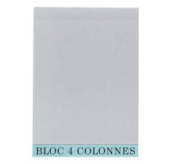 Bloc de contrôle comptable 4 colonnes Exacompta 5704E
