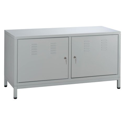 Industrial cabinet with swinging doors 