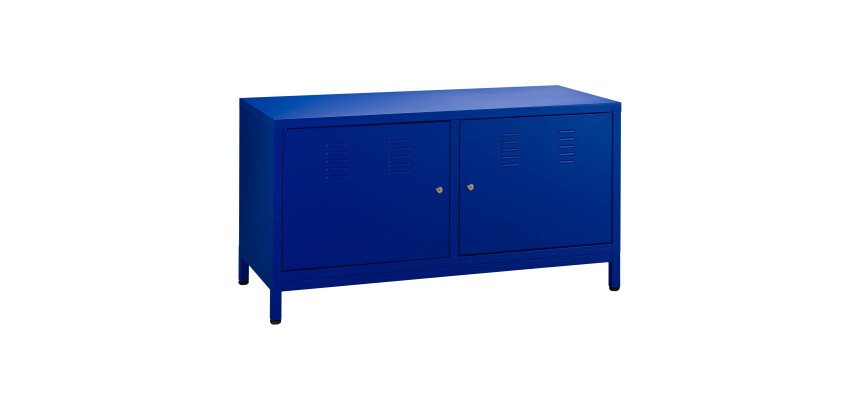 Industrial cabinet with swinging doors 