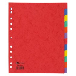 Dividers A4+ coloured 12 multicoloured neutral tabs