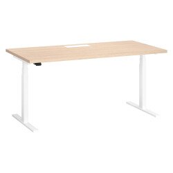 Sit-stand Ergomaxx desk L160 x W 80 cm with electric height adjustment and top access