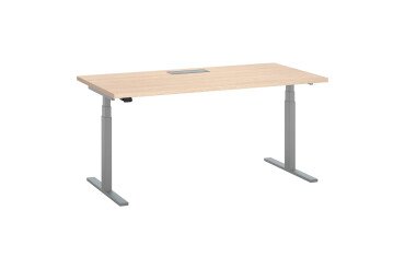 Büro-Sitz-Steh-Schreibtisch Ergomaxx L160 x T 80 cm Höhenverstellung elektrisch mit Topzugang