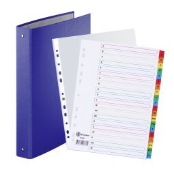 Pack for classification: 1 ordner, 100 perforated sleeves and 1 set of dividers