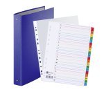 Pack de carpeta de 4 anillas de cartón A4 - lomo de 4 cm + 100 fundas multitaladro y 2 juegos de separadores