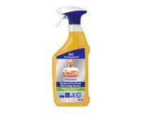 Krachtige ontvetter Mr Proper Professional - Spray van 750ml
