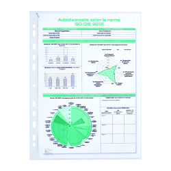 Box of 100 perforated sleeves Quick'in Elba A4 polypropylene 7/100e