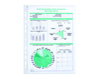 Box of 100 perforated sleeves Quick'in Elba A4 polypropylene 7/100e