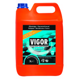 Can 5 L Vigor Fresh Force